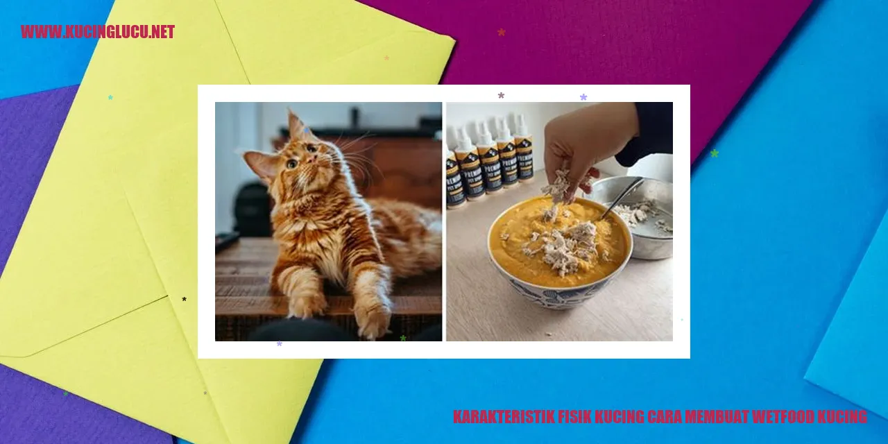 Gambar Karakteristik Fisik Kucing