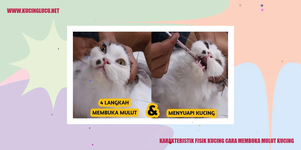 Karakteristik Fisik Kucing