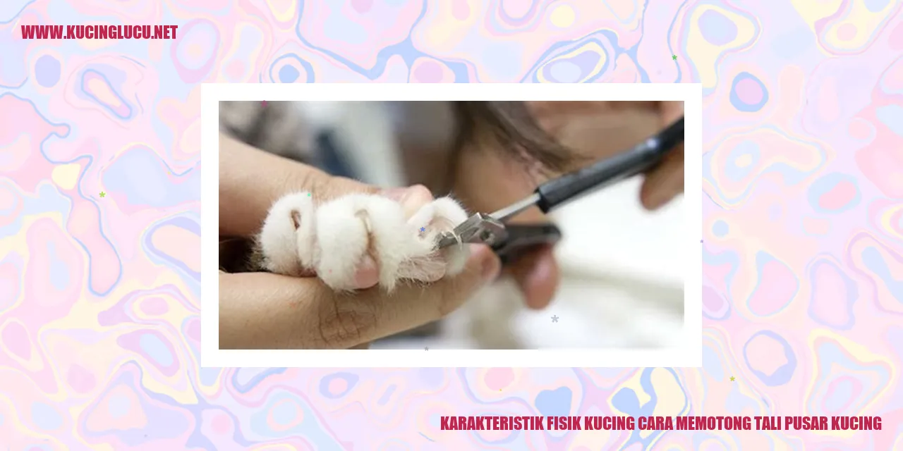 Karakteristik Fisik Kucing