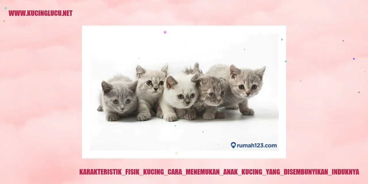 Karakteristik Fisik Kucing