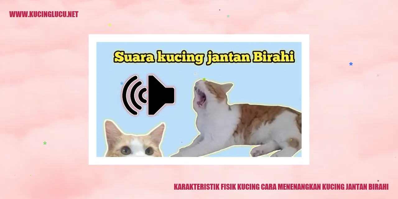 Ilustrasi Kucing