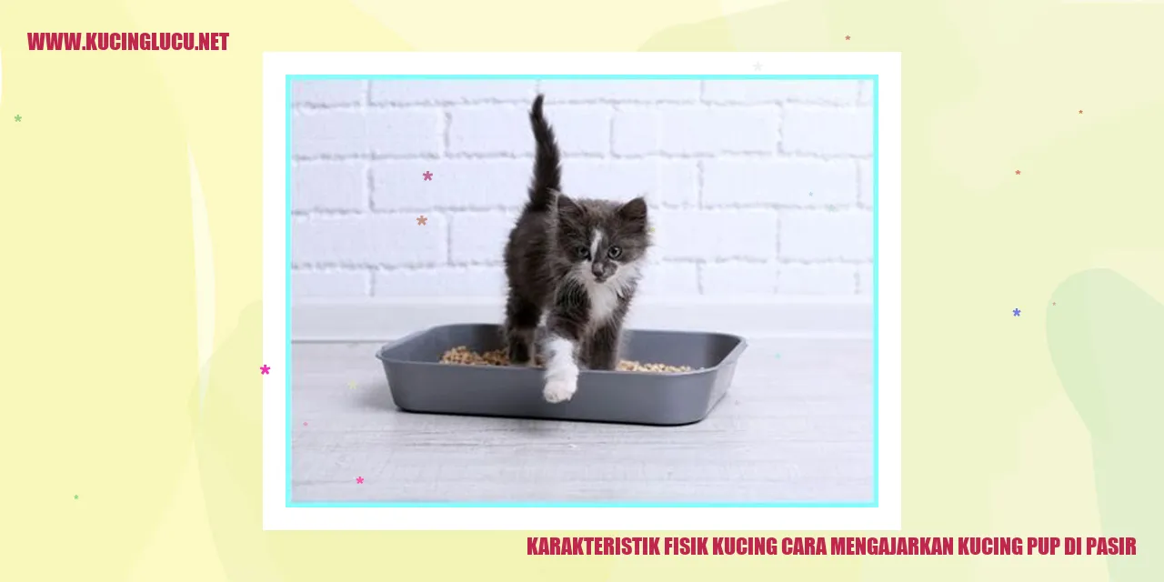 Karakteristik Fisik Kucing
