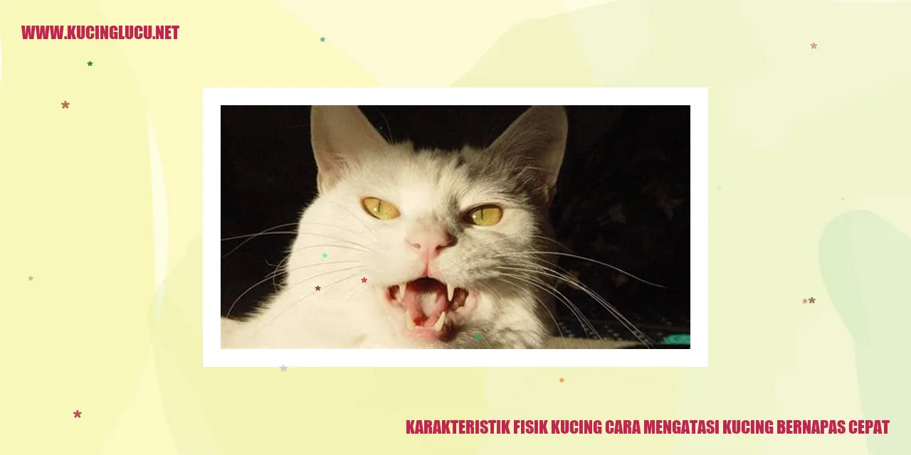 Karakteristik Fisik Kucing dan Tips Mengatasi Kucing Bernapas Cepat