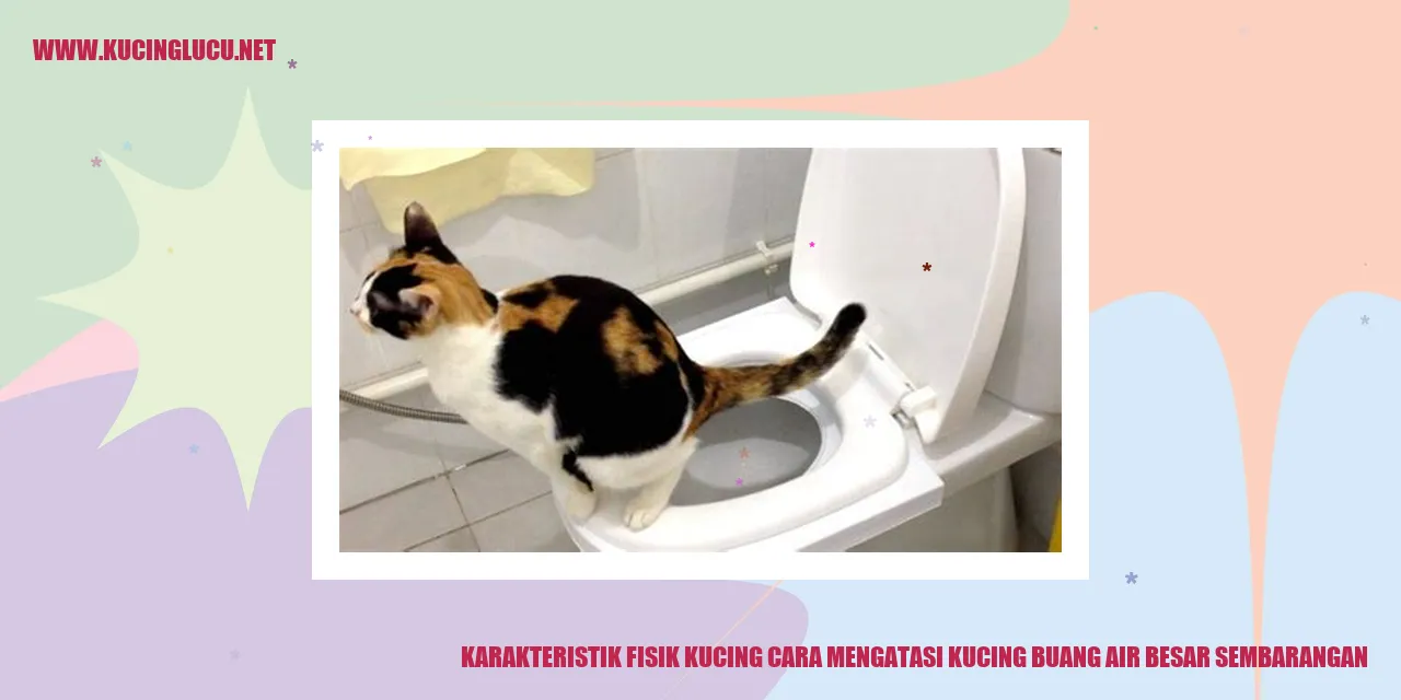 Kucing Menggunakan Litter Box
