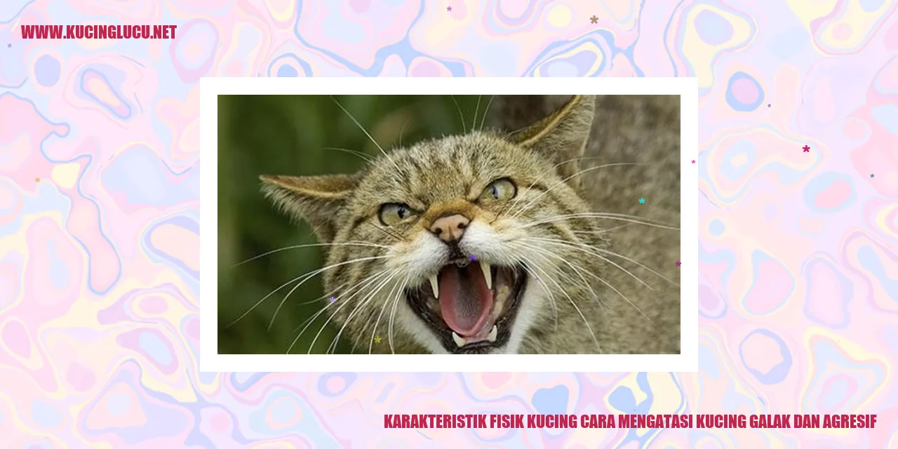 Karakteristik Fisik Kucing