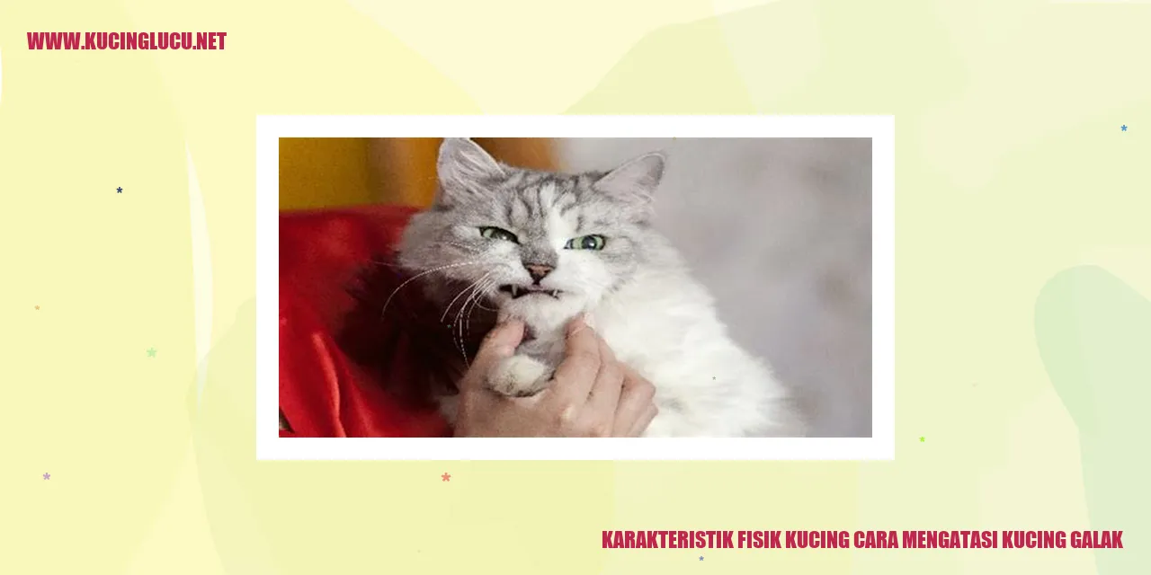 Karakteristik Fisik Kucing