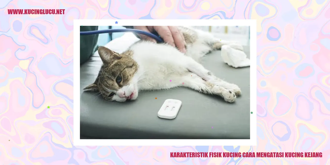 karakteristik fisik kucing