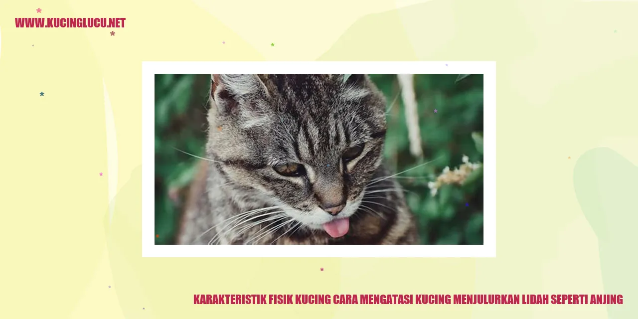 Kucing menjulurkan lidah seperti anjing