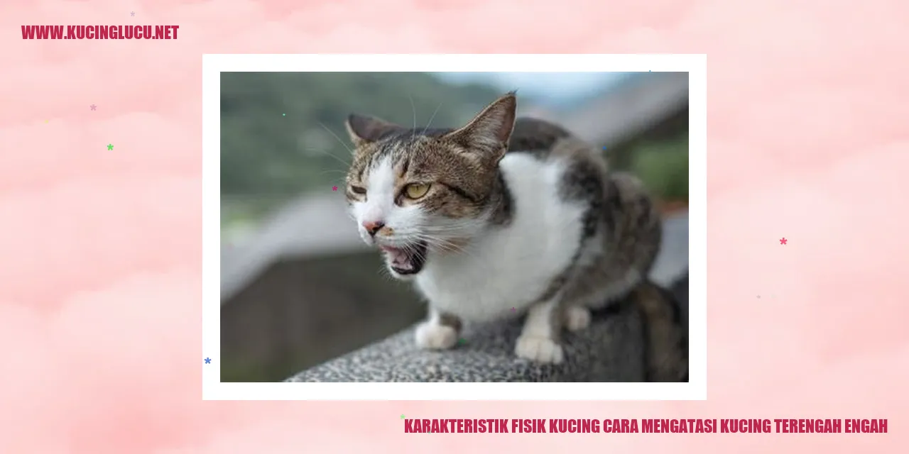 Kucing Terengah-engah