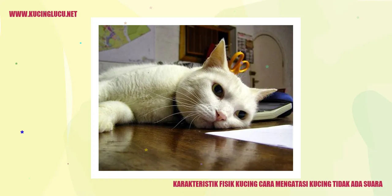 Karakteristik Fisik Kucing dan Cara Mengatasi Kucing Tidak Ada Suara