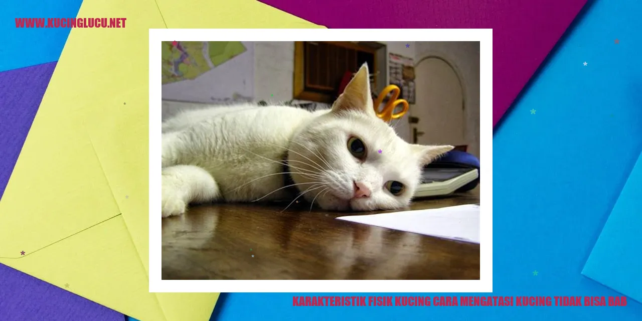 Karakteristik Fisik Kucing