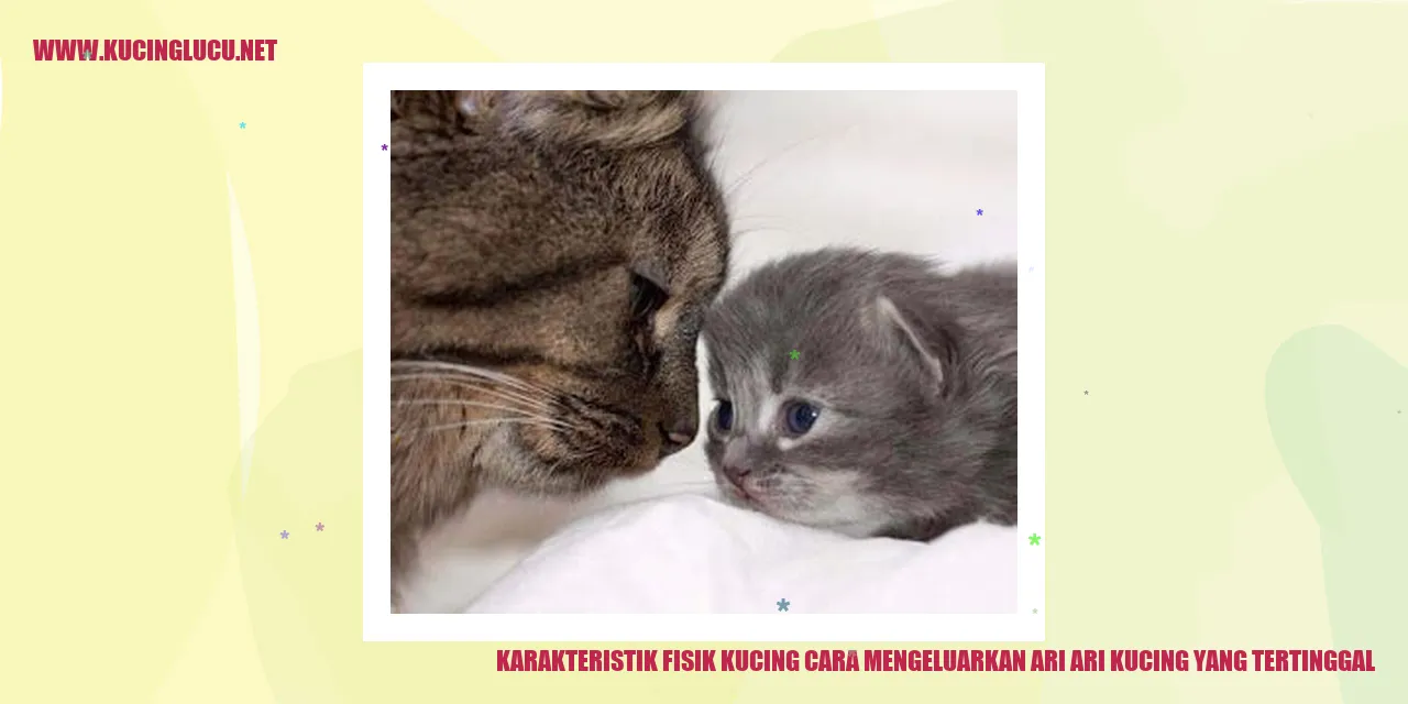 Karakteristik Fisik Kucing