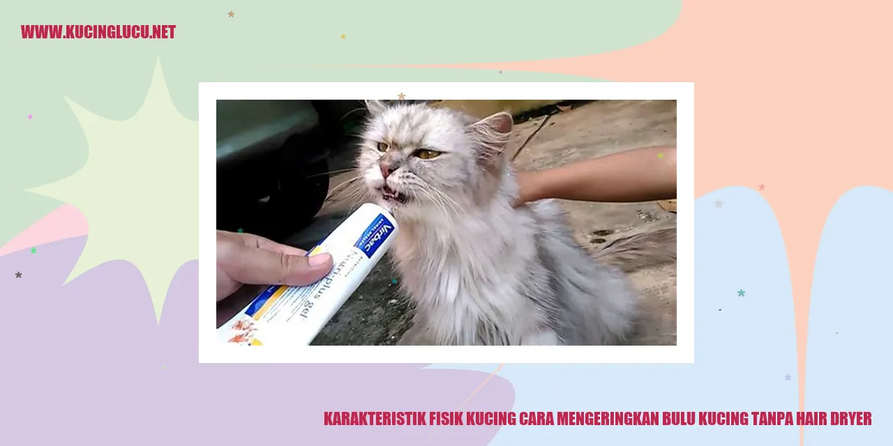Karakteristik Fisik Kucing