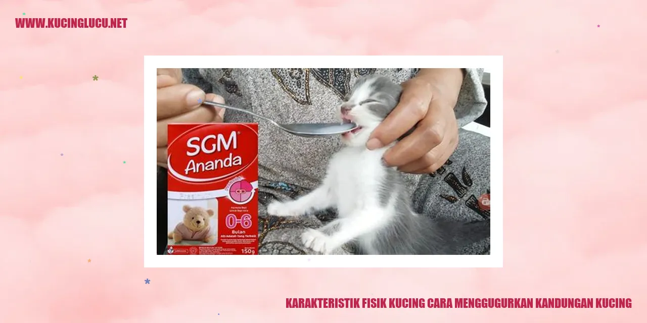 Karakteristik Fisik Kucing Cara Menggugurkan Kandungan Kucing