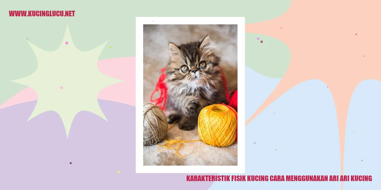 Karakteristik Fisik Kucing cara menggunakan ari ari kucing