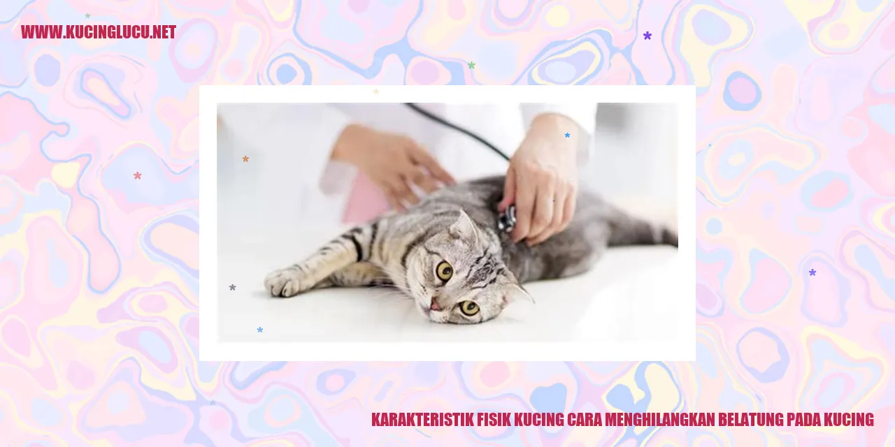 Karakteristik Fisik Kucing