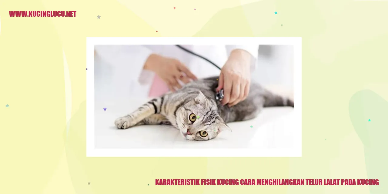 Karakteristik Fisik Kucing dan Tips Menghilangkan Telur Lalat pada Kucing