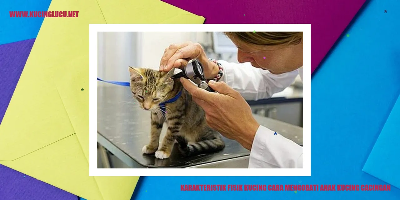 Karakteristik Fisik Kucing dan Terapi untuk Anak Kucing yang Terkena Cacing