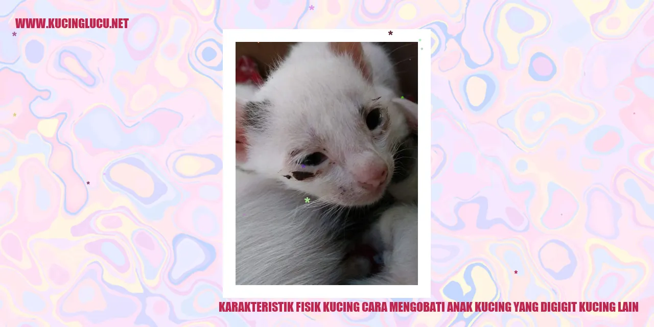 Karakteristik Fisik Kucing