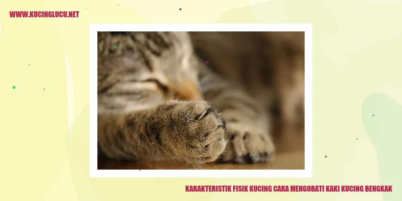 Karakteristik Fisik Kucing