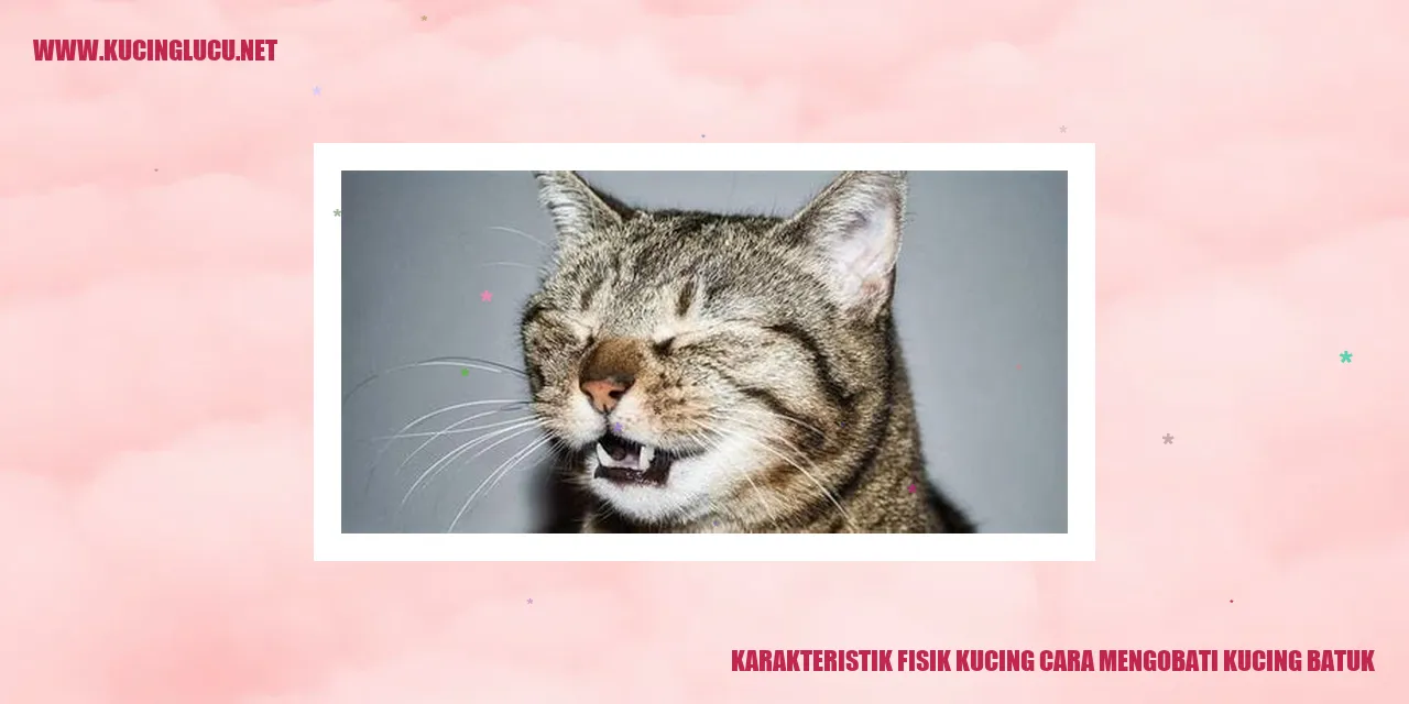 Karakteristik Fisik Kucing cara mengobati kucing batuk