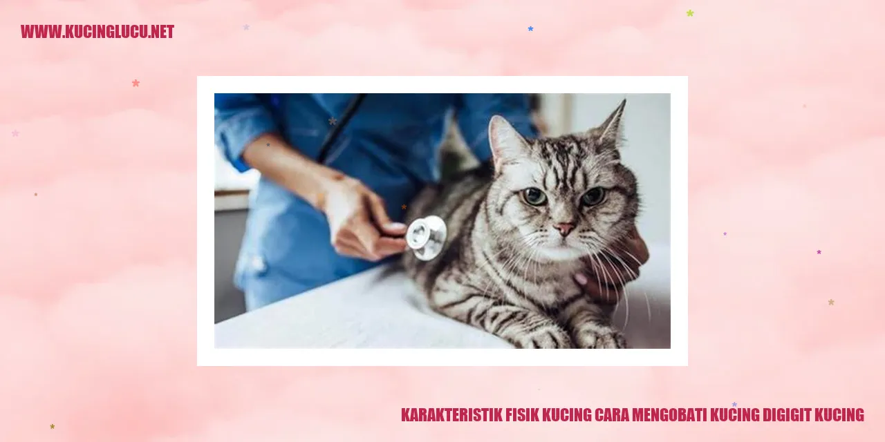 Kucing dengan Karakteristik Fisik yang Unik