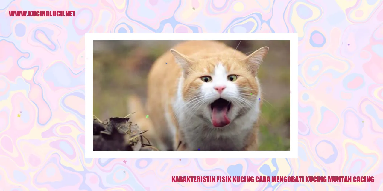 Karakteristik Fisik Kucing