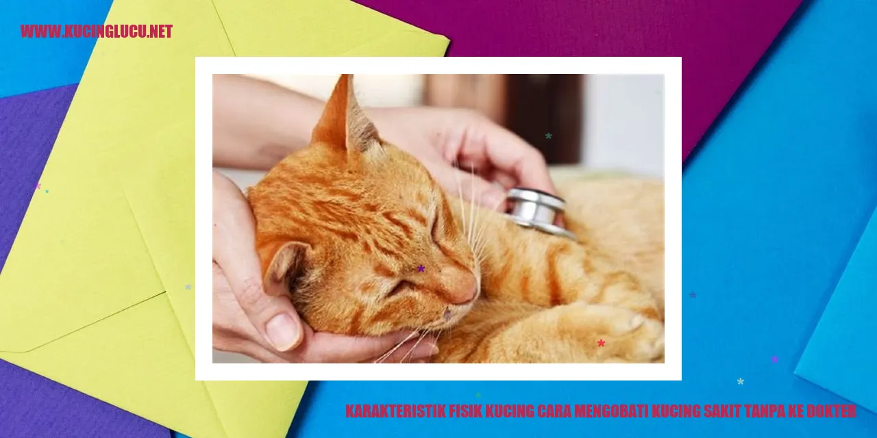 Karakteristik Fisik Kucing