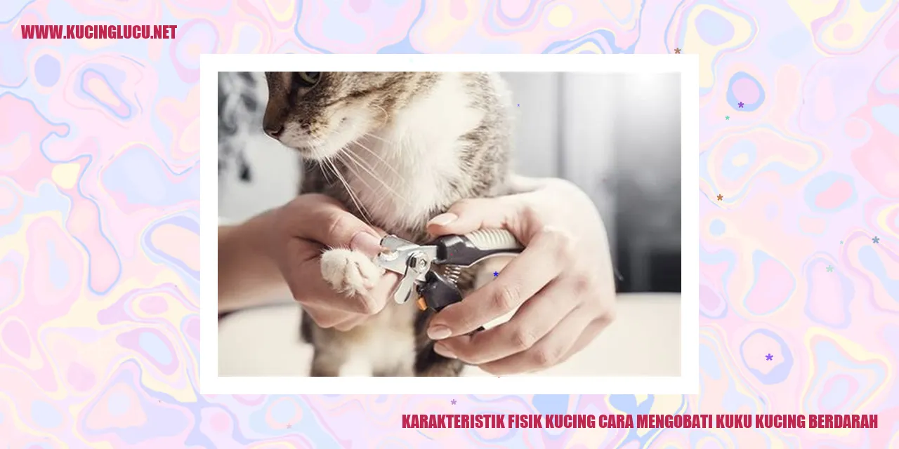 Gambar Kucing dengan Kuku yang Terluka