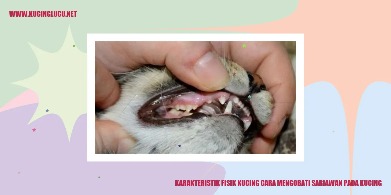 Gambar karakteristik fisik kucing
