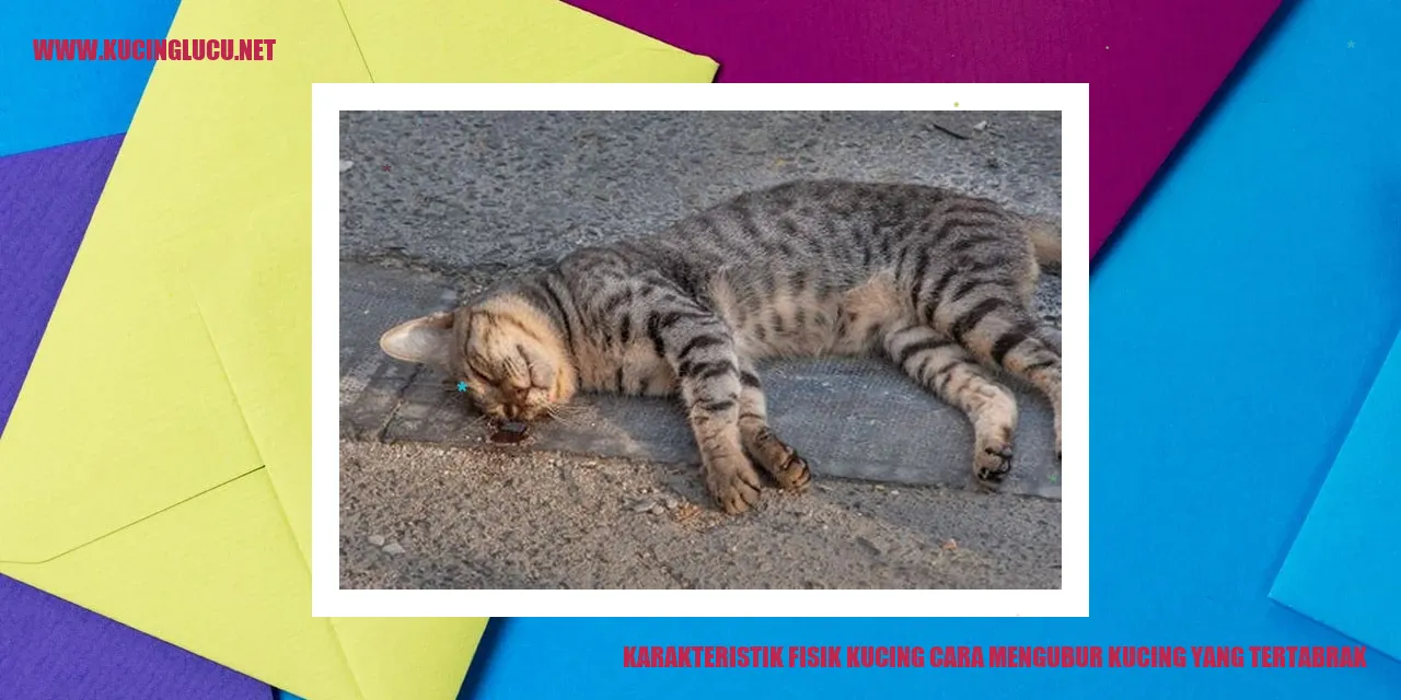 Karakteristik Fisik Kucing