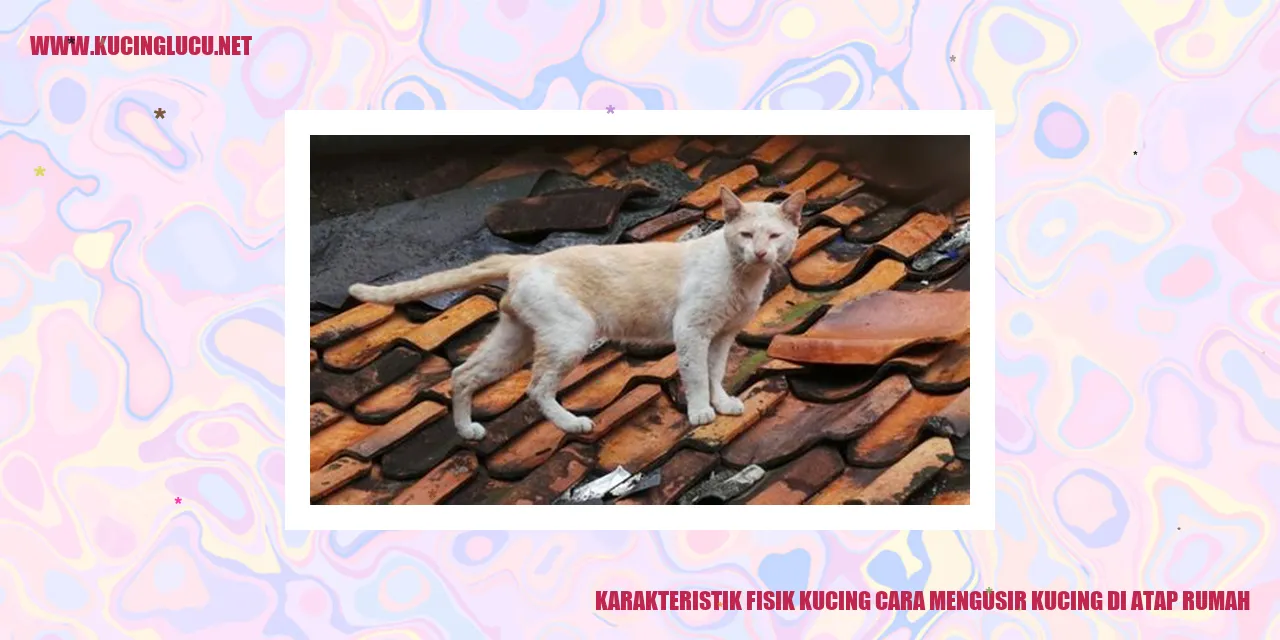 Karakteristik Fisik Kucing dan Cara Mengusir Kucing di Atap Rumah