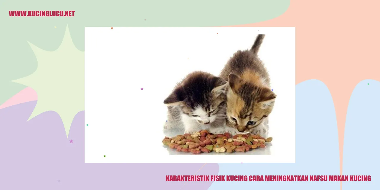 Gambar Kucing di Pinggiran Jendela