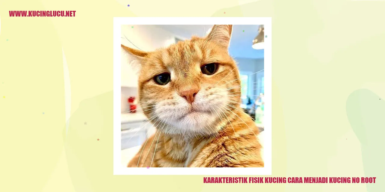 Karakteristik Fisik Kucing