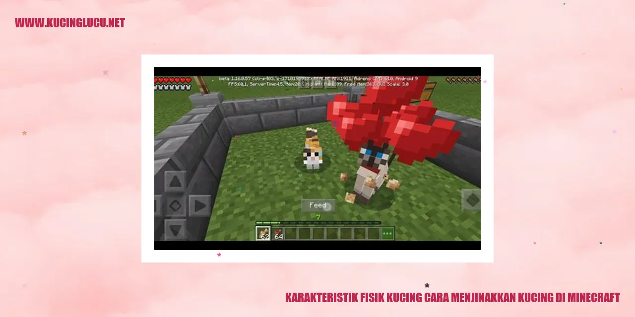 Karakteristik Fisik Kucing cara menjinakkan kucing di minecraft
