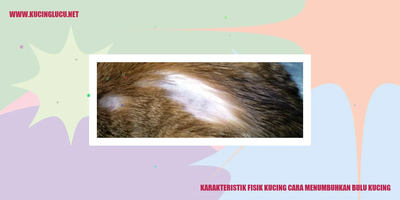 Gambar kucing dengan bulu yang sehat dan indah