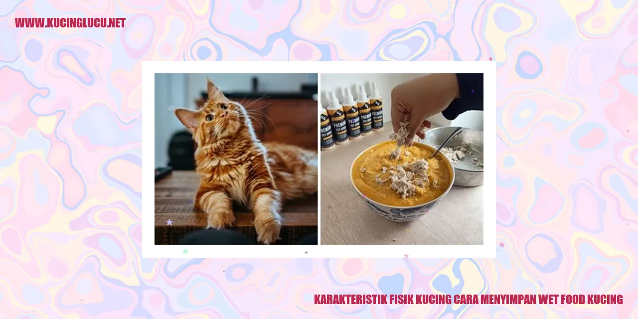 Kucing