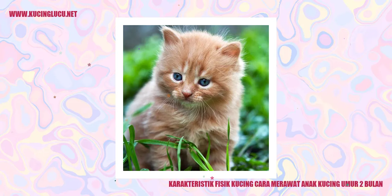Karakteristik Fisik Kucing