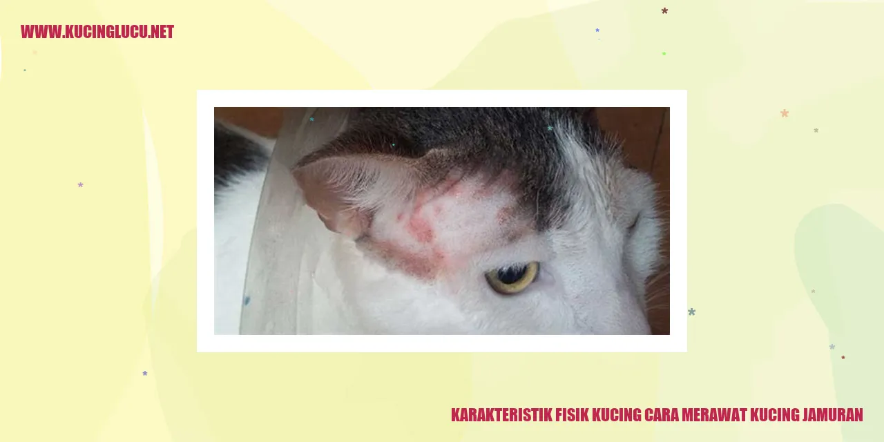 Karakteristik Fisik Kucing