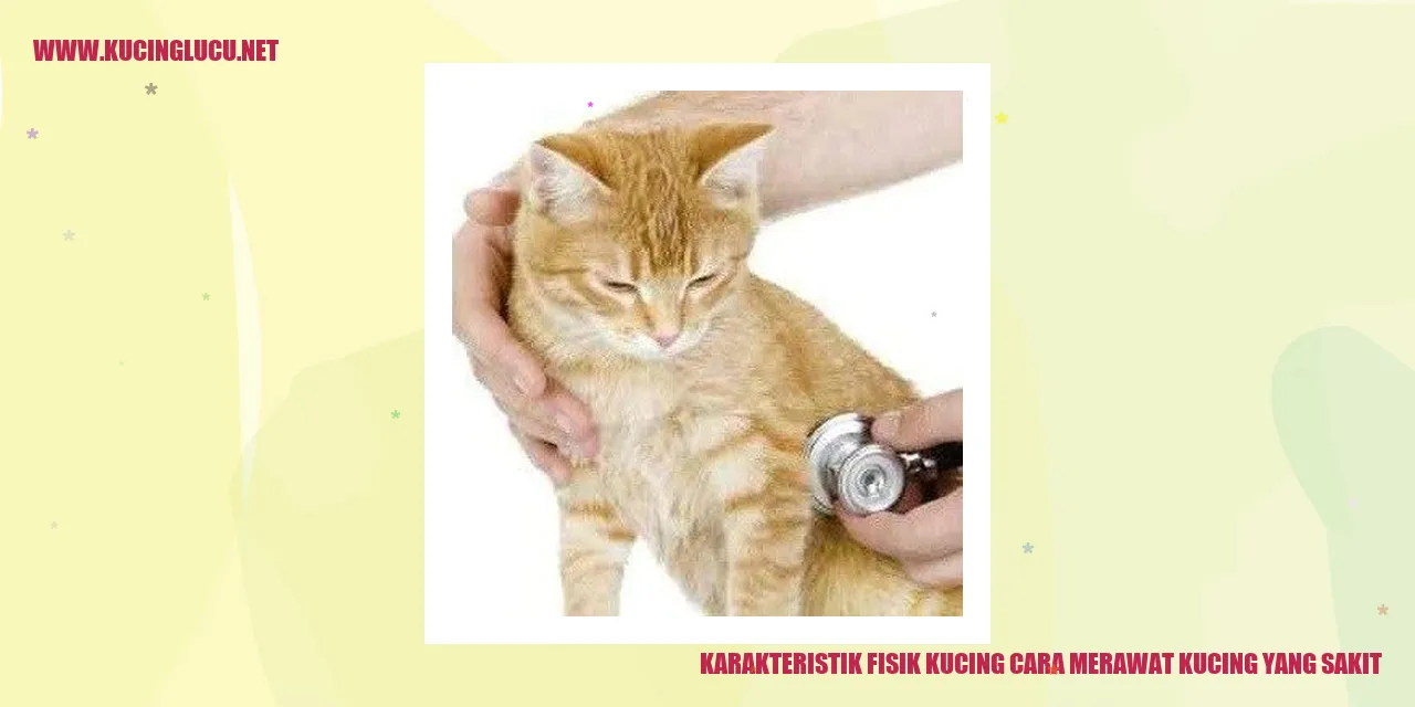 Karakteristik Fisik Kucing