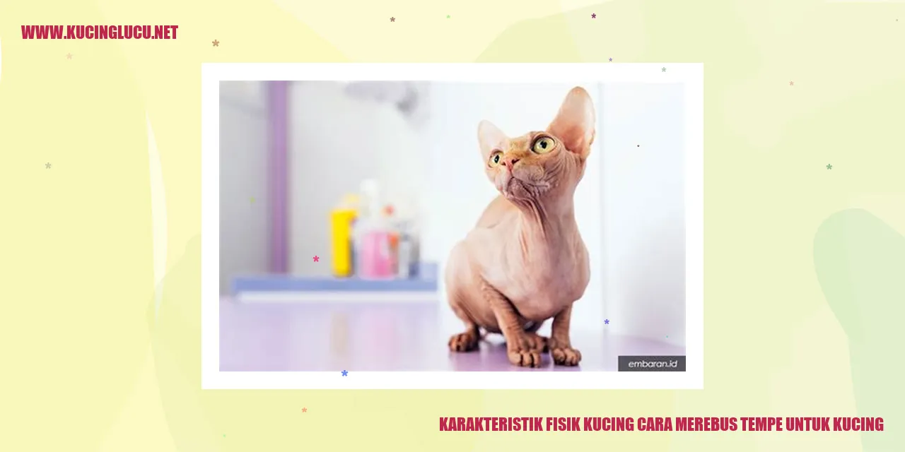 karakteristik fisik kucing