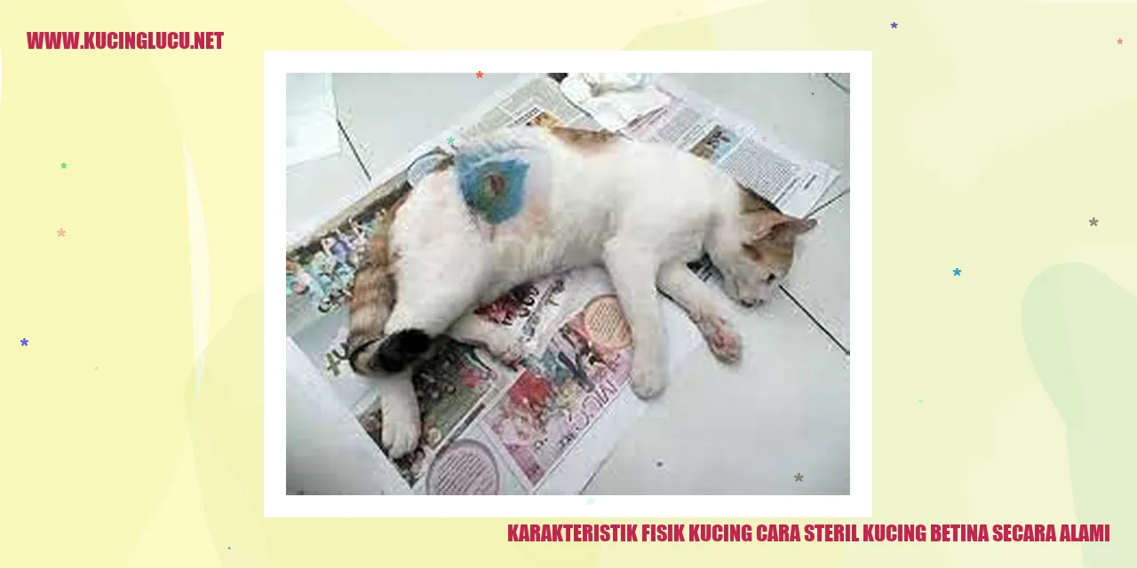 Karakteristik Fisik Kucing