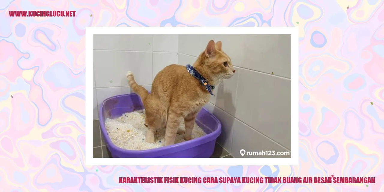 Karakteristik Fisik Kucing