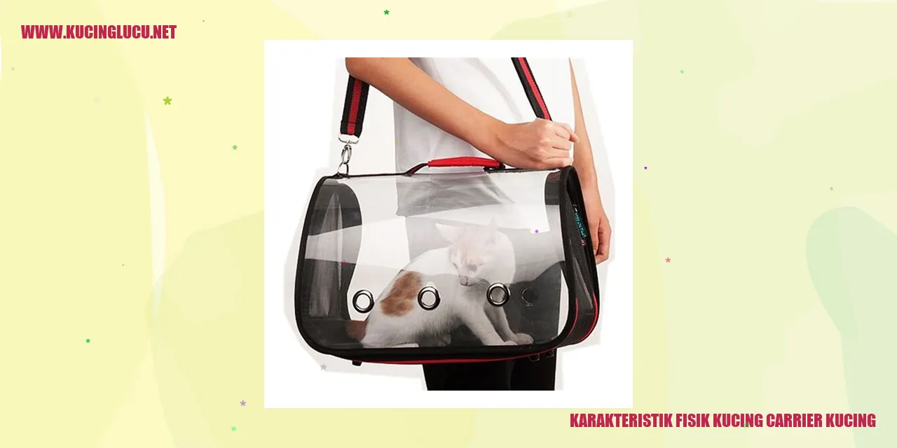 Karakteristik Fisik Kucing Pelabuhan