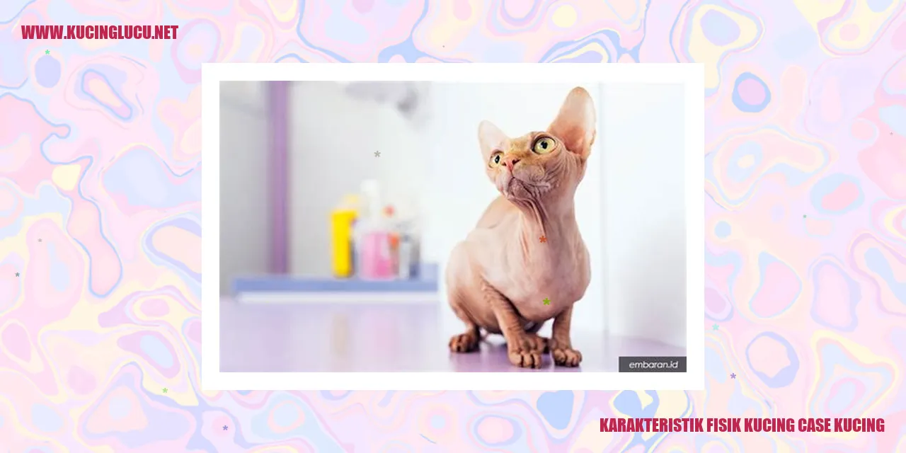 Karakteristik Fisik Kucing