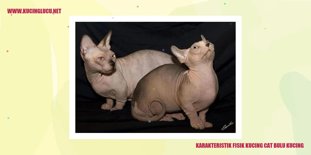 Kucing dengan bulu mengilap