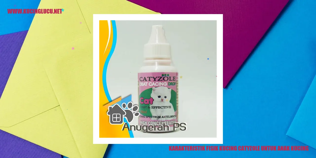 Karakteristik Fisik Kucing catyzole untuk Anak Kucing