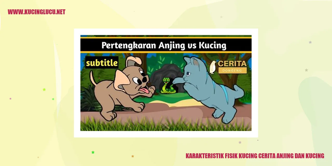 Karakteristik Fisik Kucing
