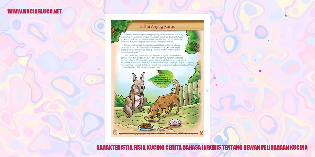 Karakteristik Fisik Kucing