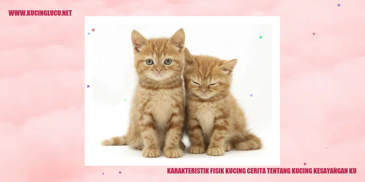 Foto Kucing